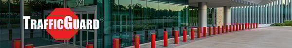 02-02-2023_TrafficGuard-BannerAd-CADdetails-1