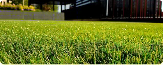 4 Projects with Design Files to Inspire and Transform a Healthy Landscape Project