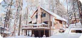 winteroutdoorliving-Nov-09-2022-01-32-47-5275-PM